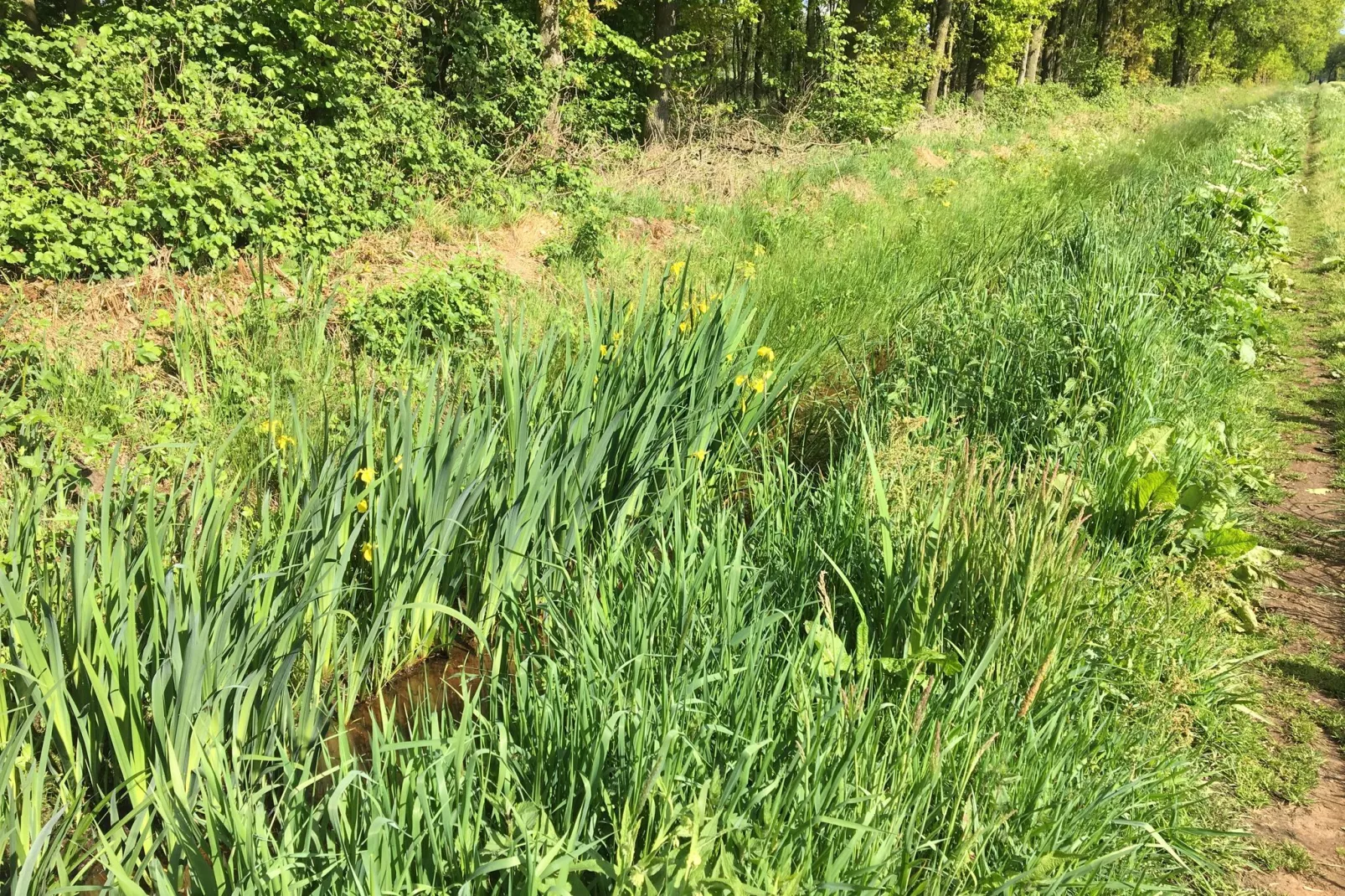 Bij Jans en Frans-Gebieden zomer 1km