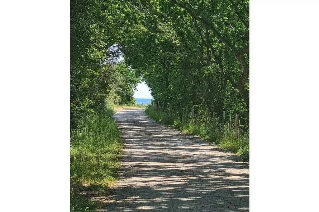 381097-Gebieden zomer 5km