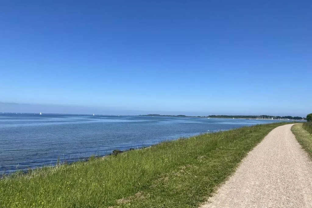 381094-Gebieden zomer 5km