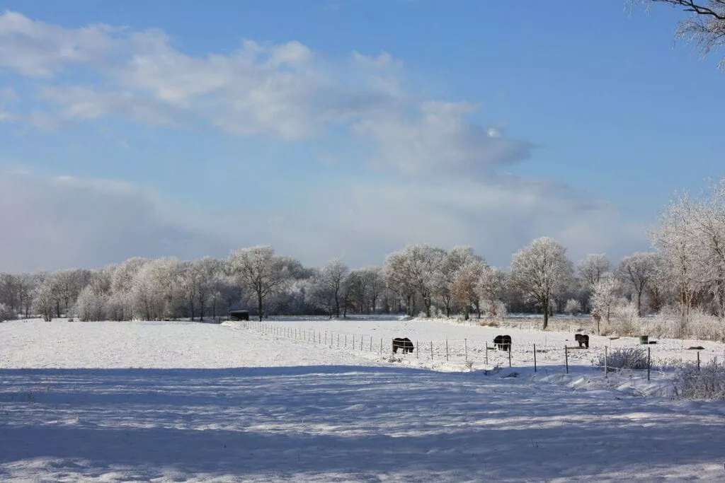 7165-Gebied winter 5km