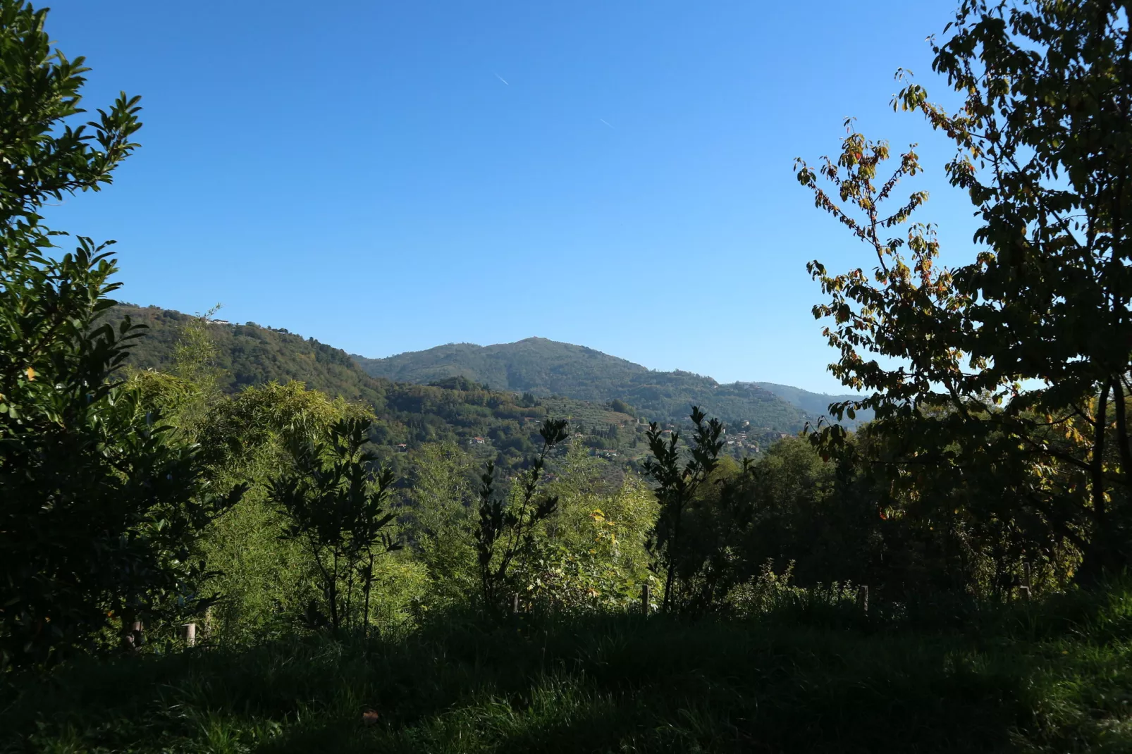 Valleriana-Gebieden zomer 5km