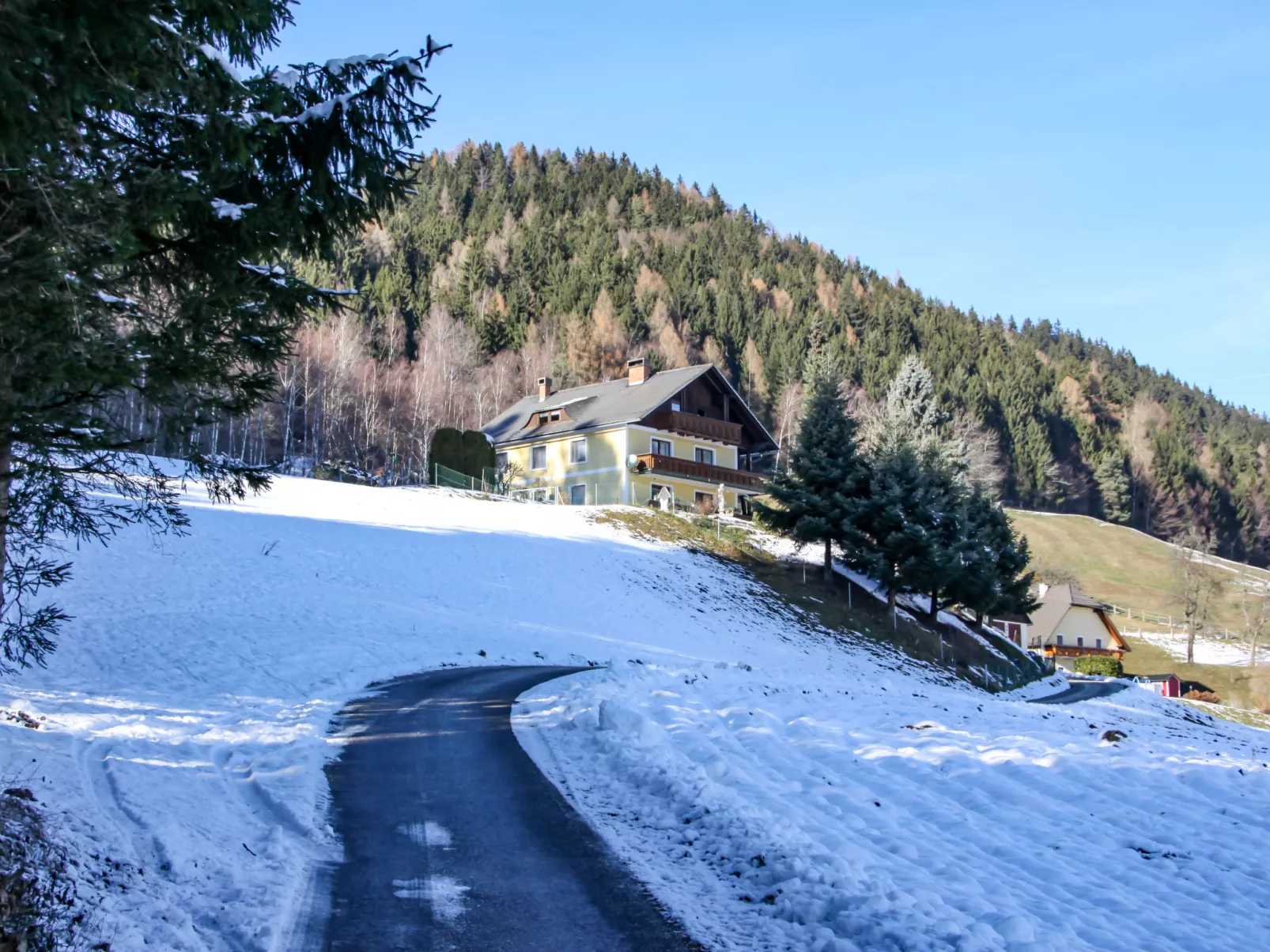 Ferienwohnung Magdalensberg-Buiten