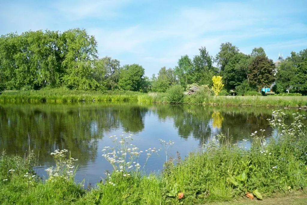 225603-Gebieden zomer 5km