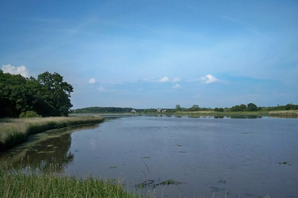 225603-Gebieden zomer 5km