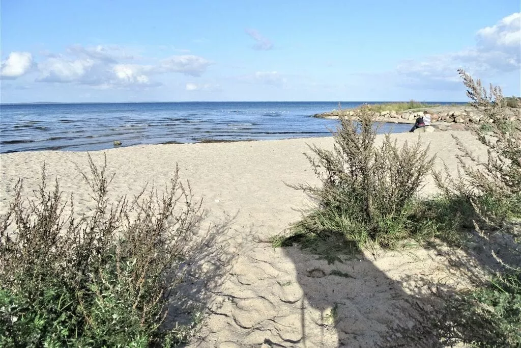 397792-Gebieden zomer 5km