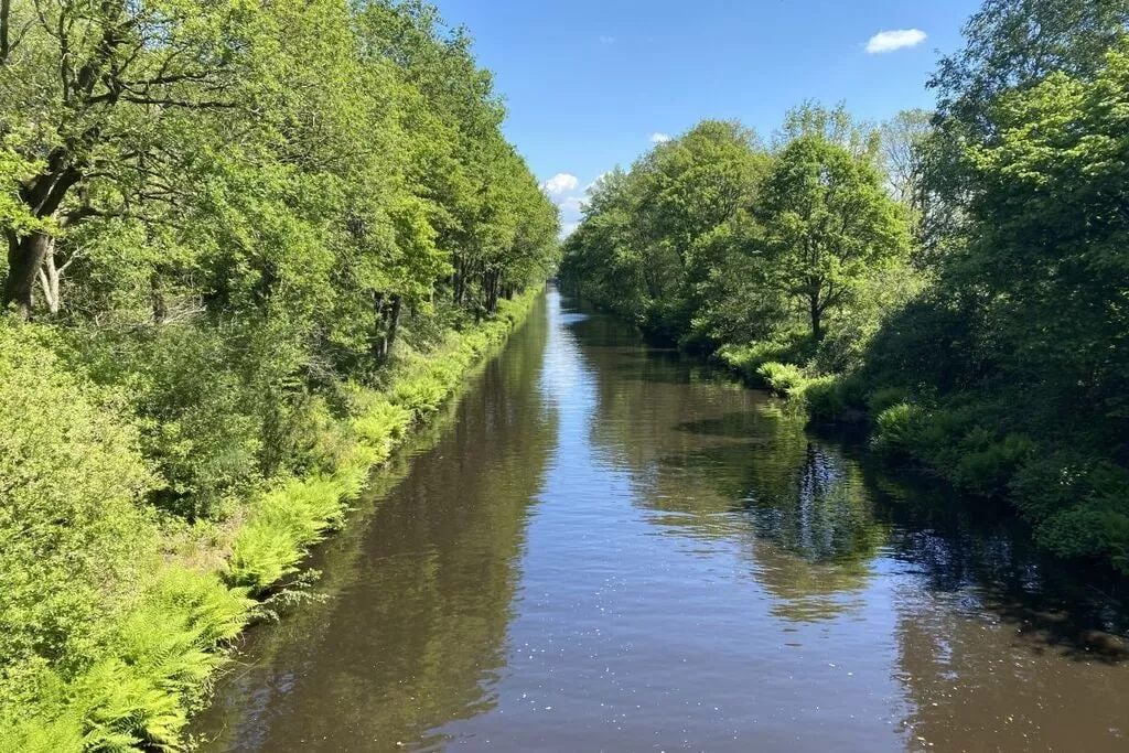 276306-Gebieden zomer 5km