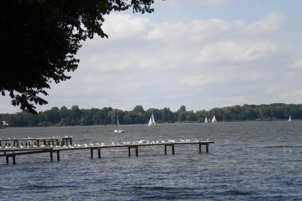 277617-Gebieden zomer 5km