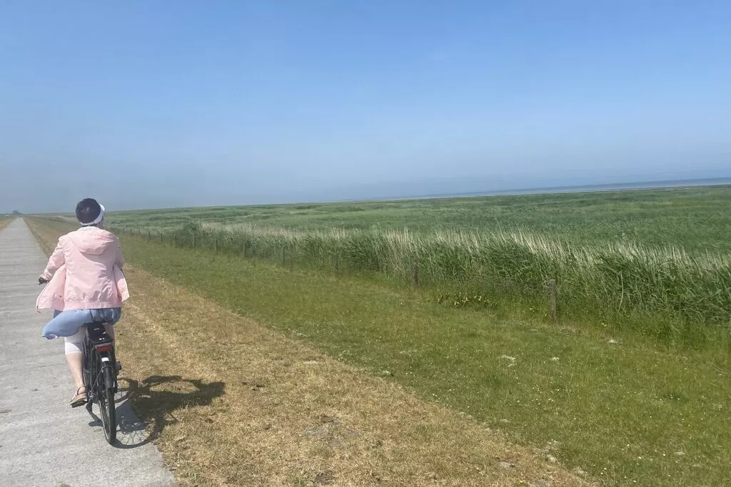 268413-Gebieden zomer 5km