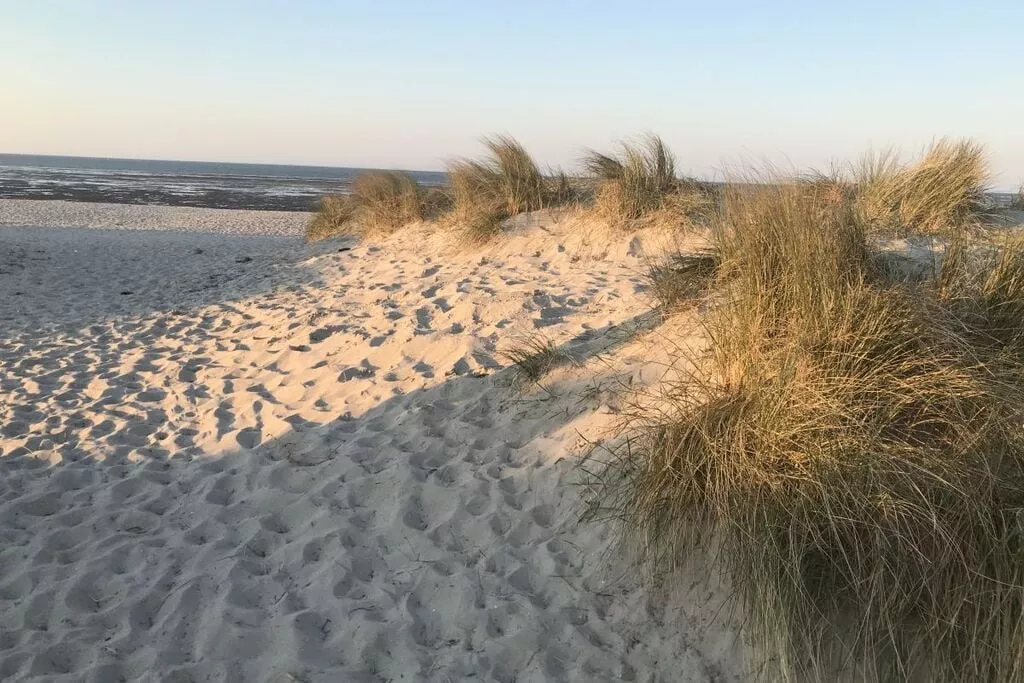 268413-Gebieden zomer 5km