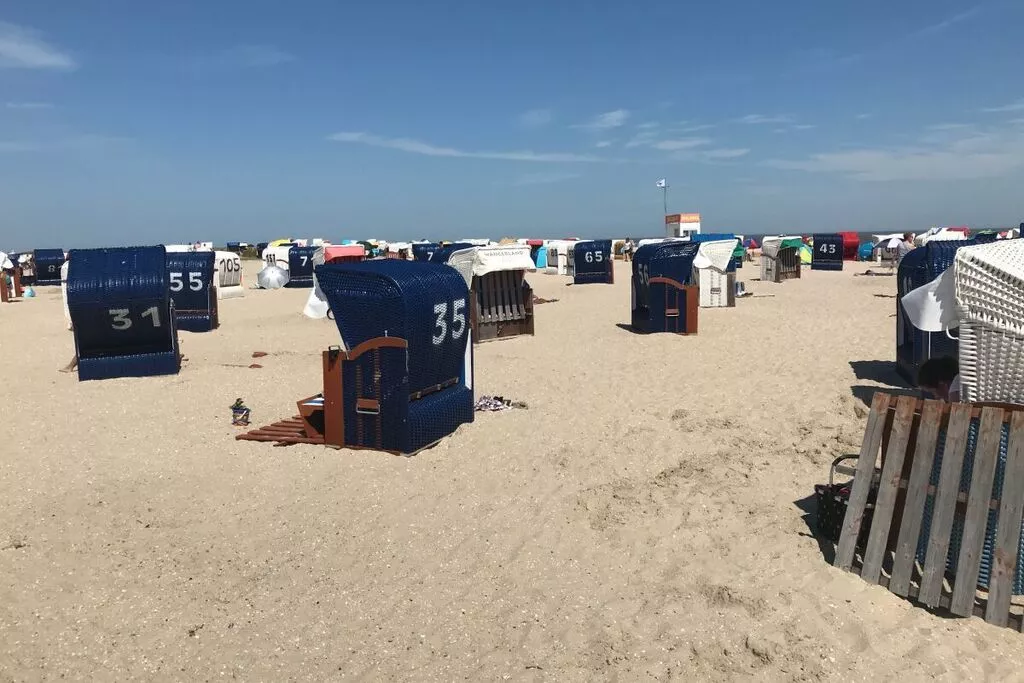 268413-Gebieden zomer 5km