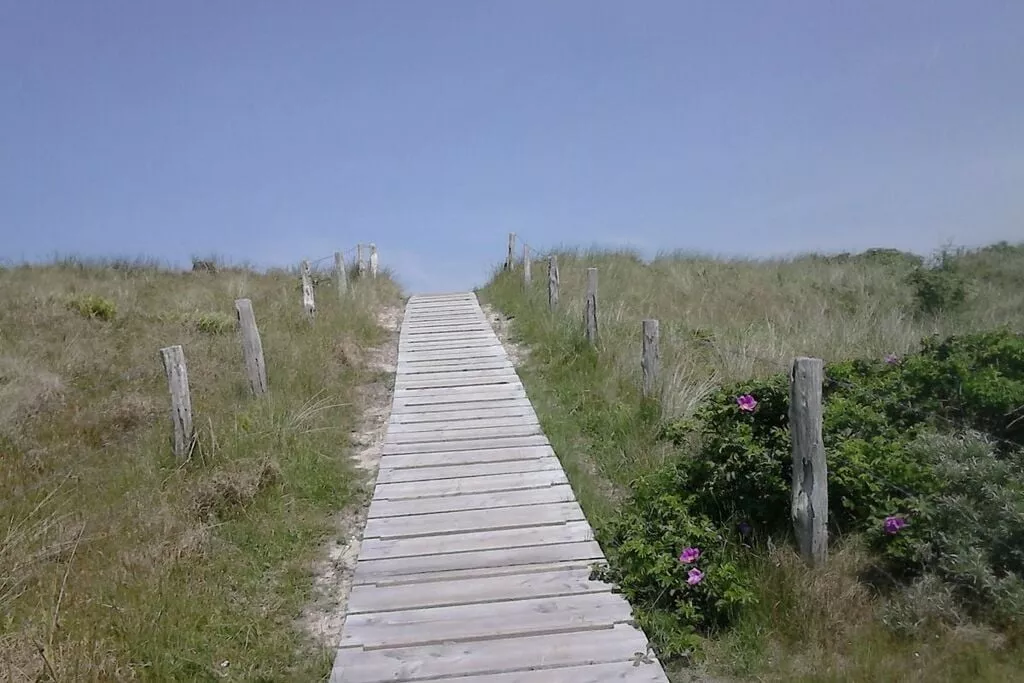 163051-Gebieden zomer 5km