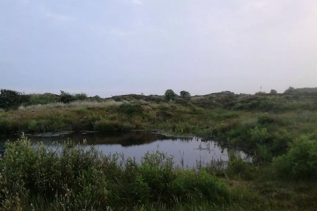 163051-Gebieden zomer 5km