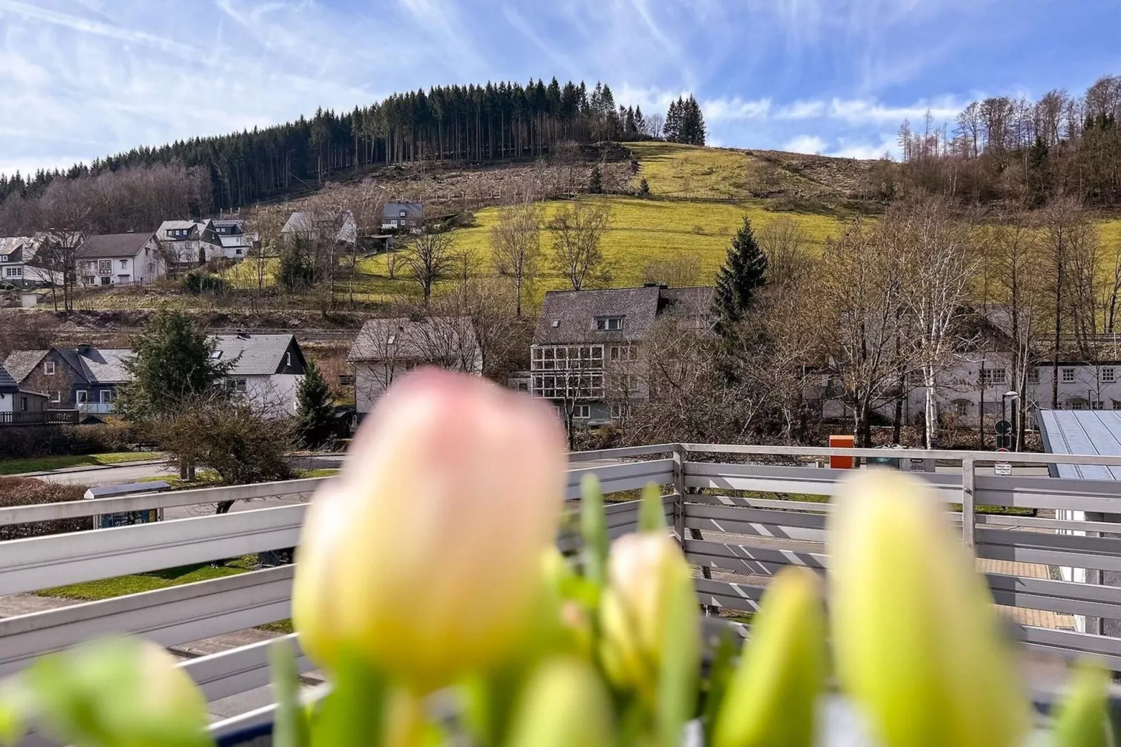 Bergfreiheit-Uitzicht zomer