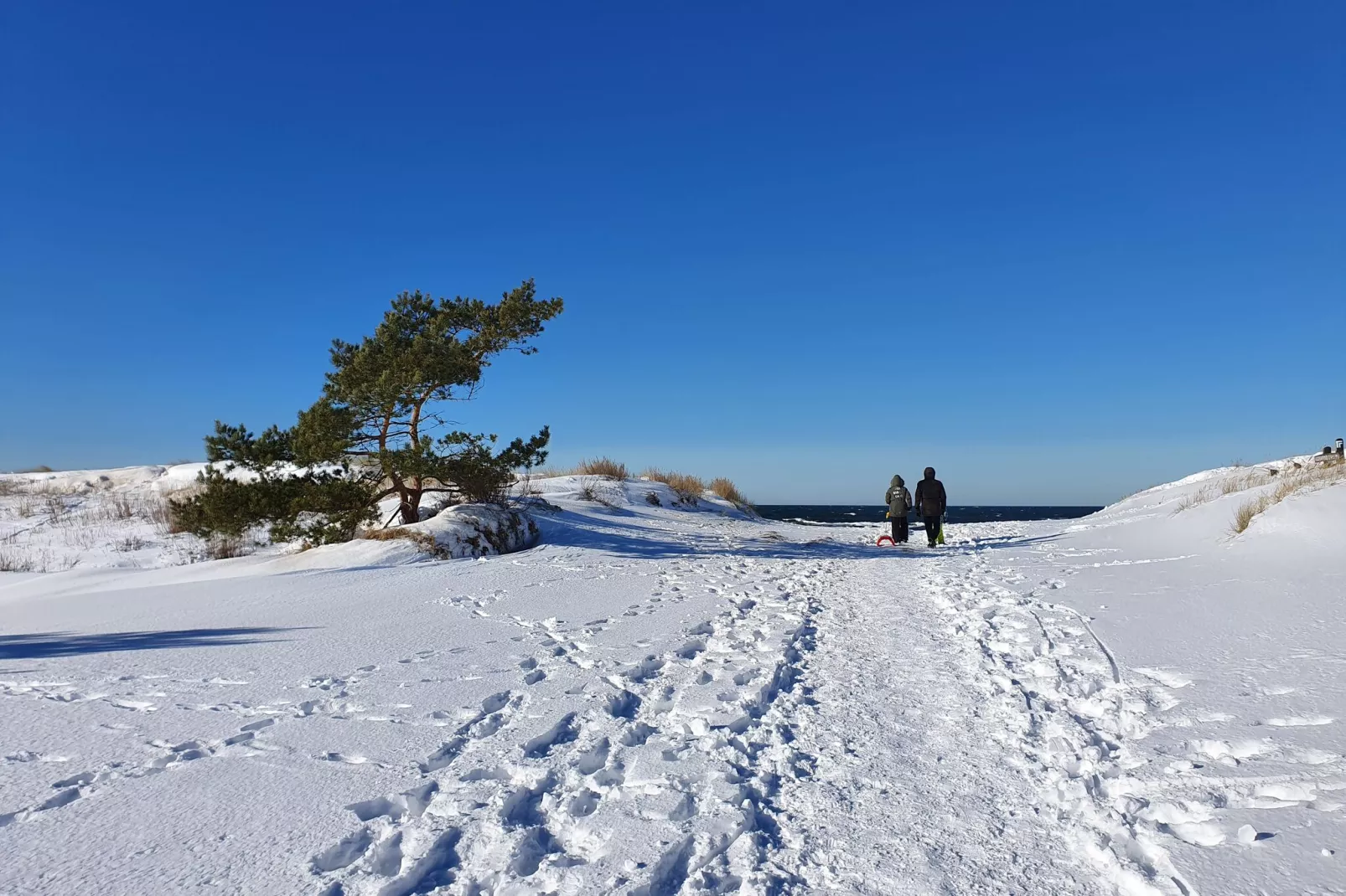 Holiday house Larch Nook-Gebied winter 5km