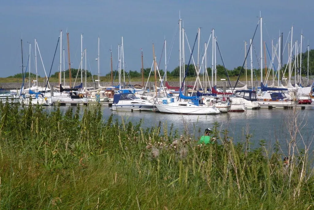 257806-Gebieden zomer 5km