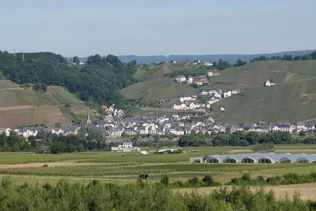 181482-Gebieden zomer 5km