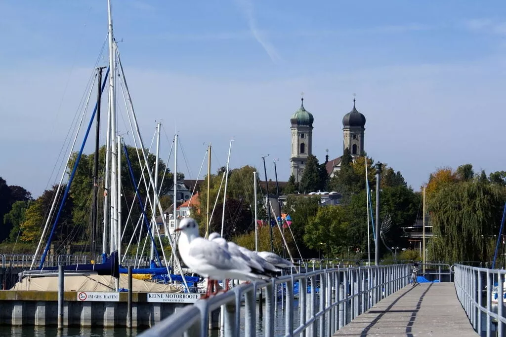 216878-Gebieden zomer 5km