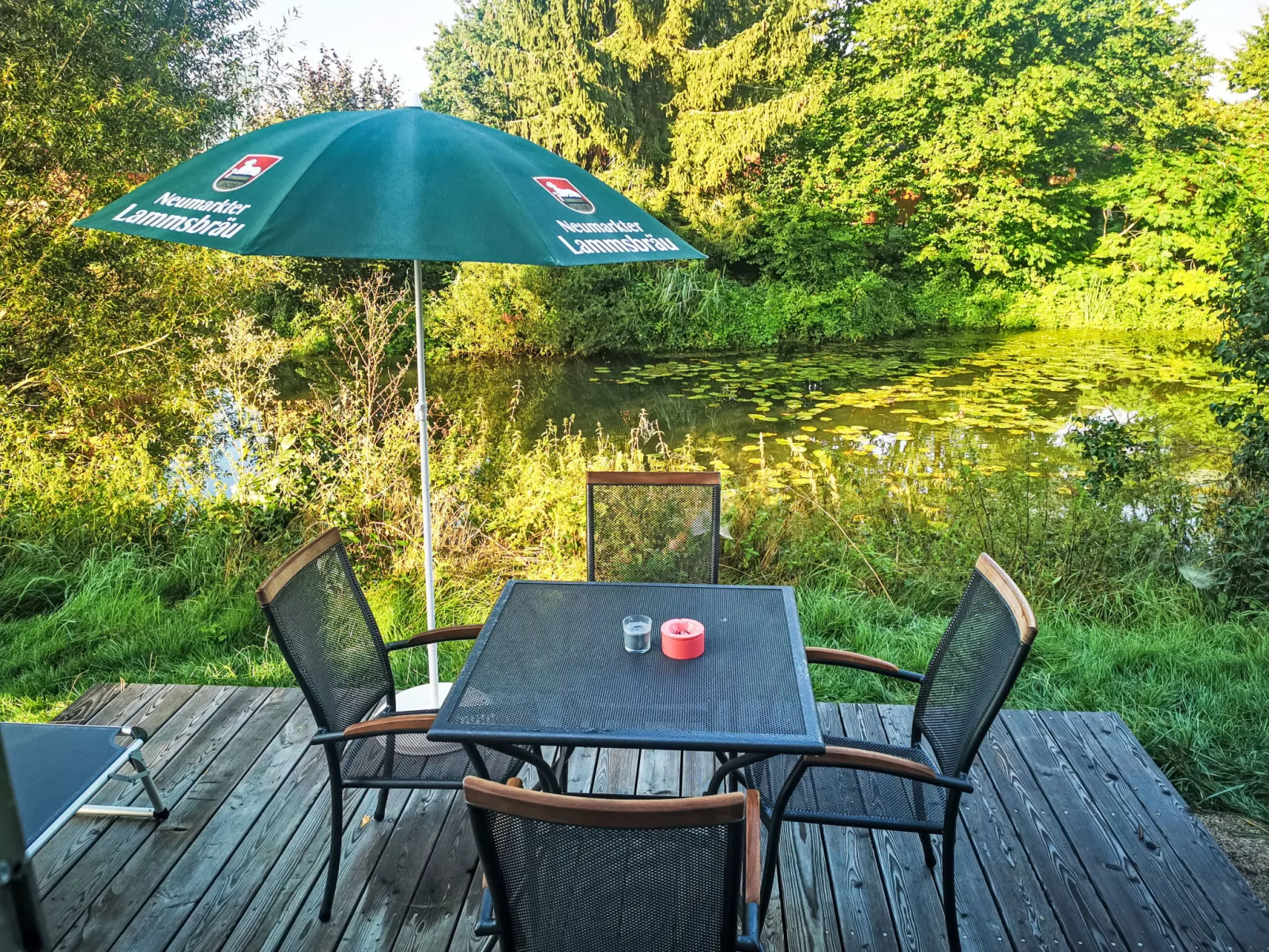 Tiny Haus Sonnendeck-Buiten