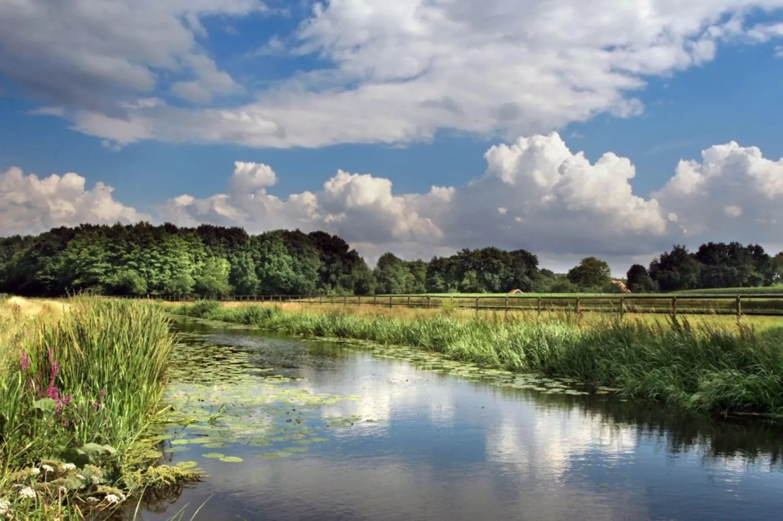 Vakantiecentrum 't Schuttenbelt 4-Gebieden zomer 1km