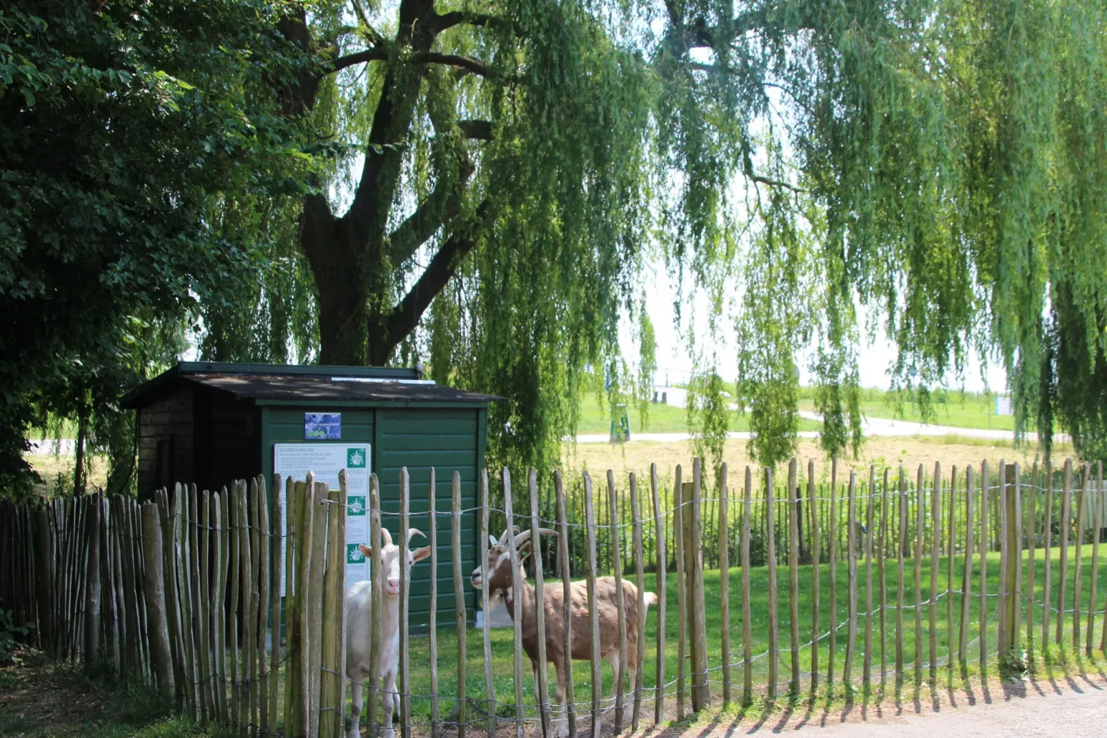 6 pers Welness huis 16-Gebieden zomer 1km