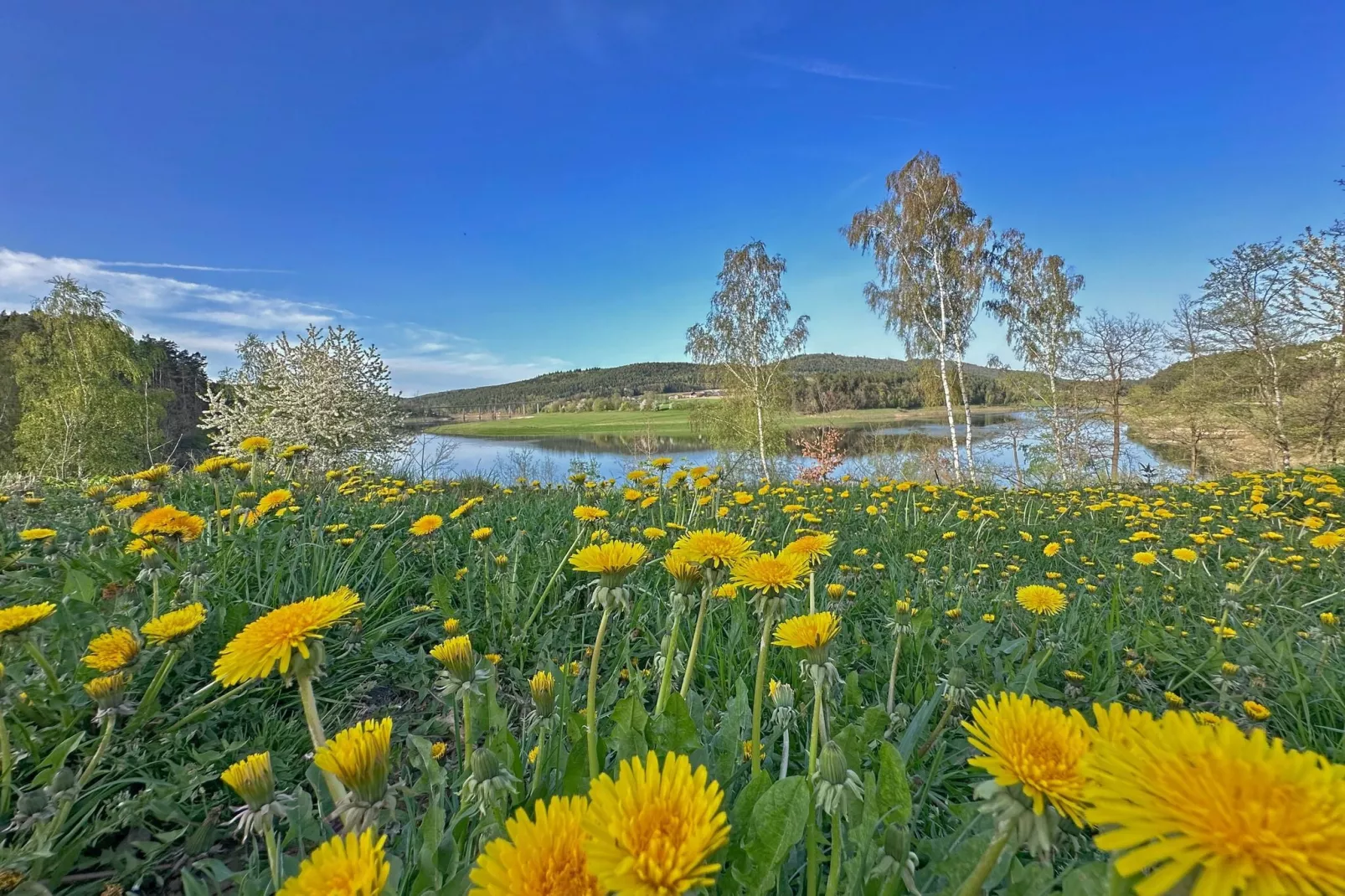 FERIENDORF SEEBLICK-Uitzicht zomer