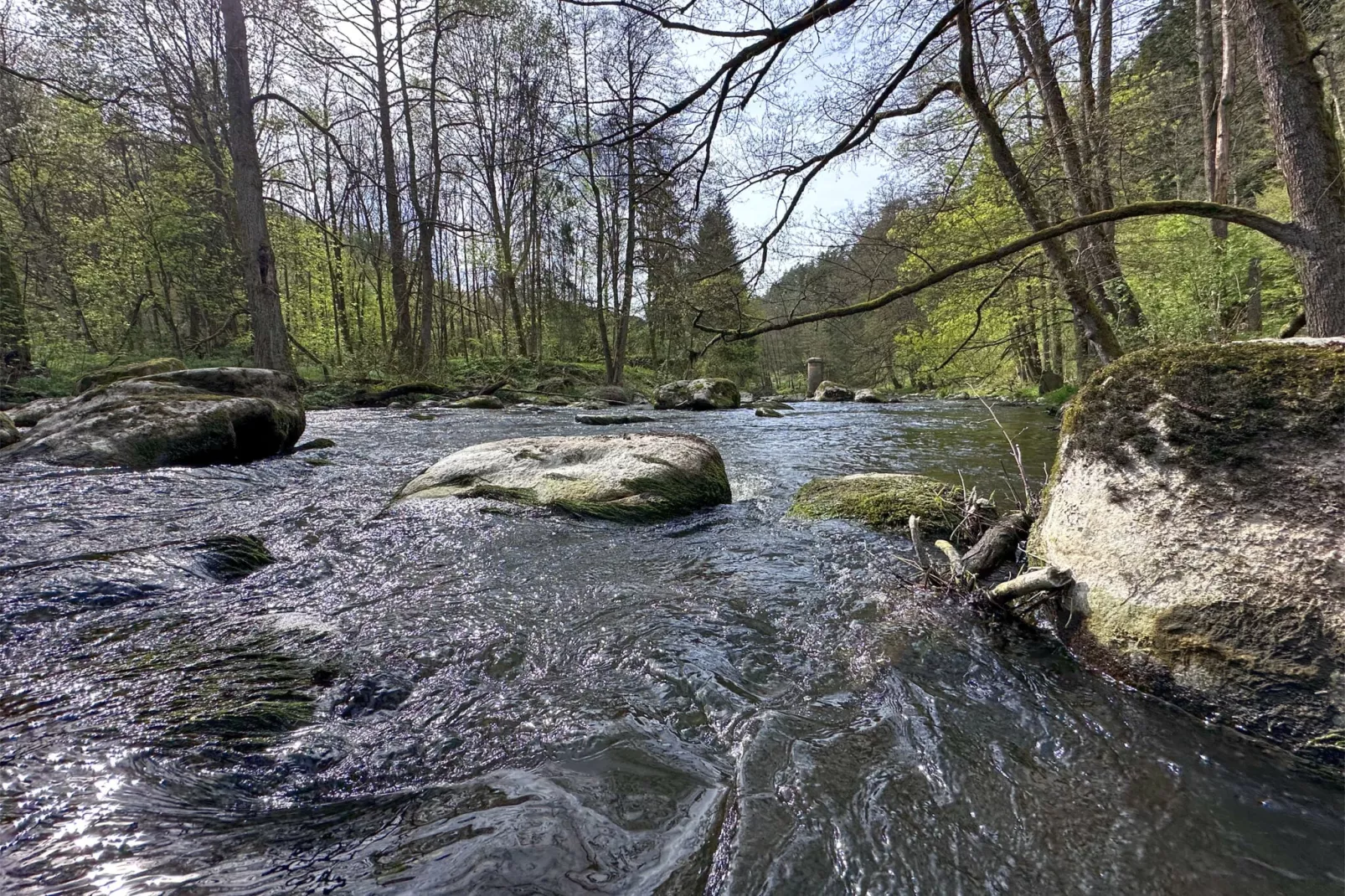 FERIENDORF SEEBLICK-Gebieden zomer 5km