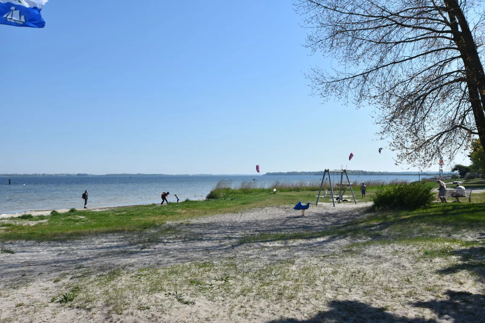 Seeadler 6-Gebieden zomer 1km