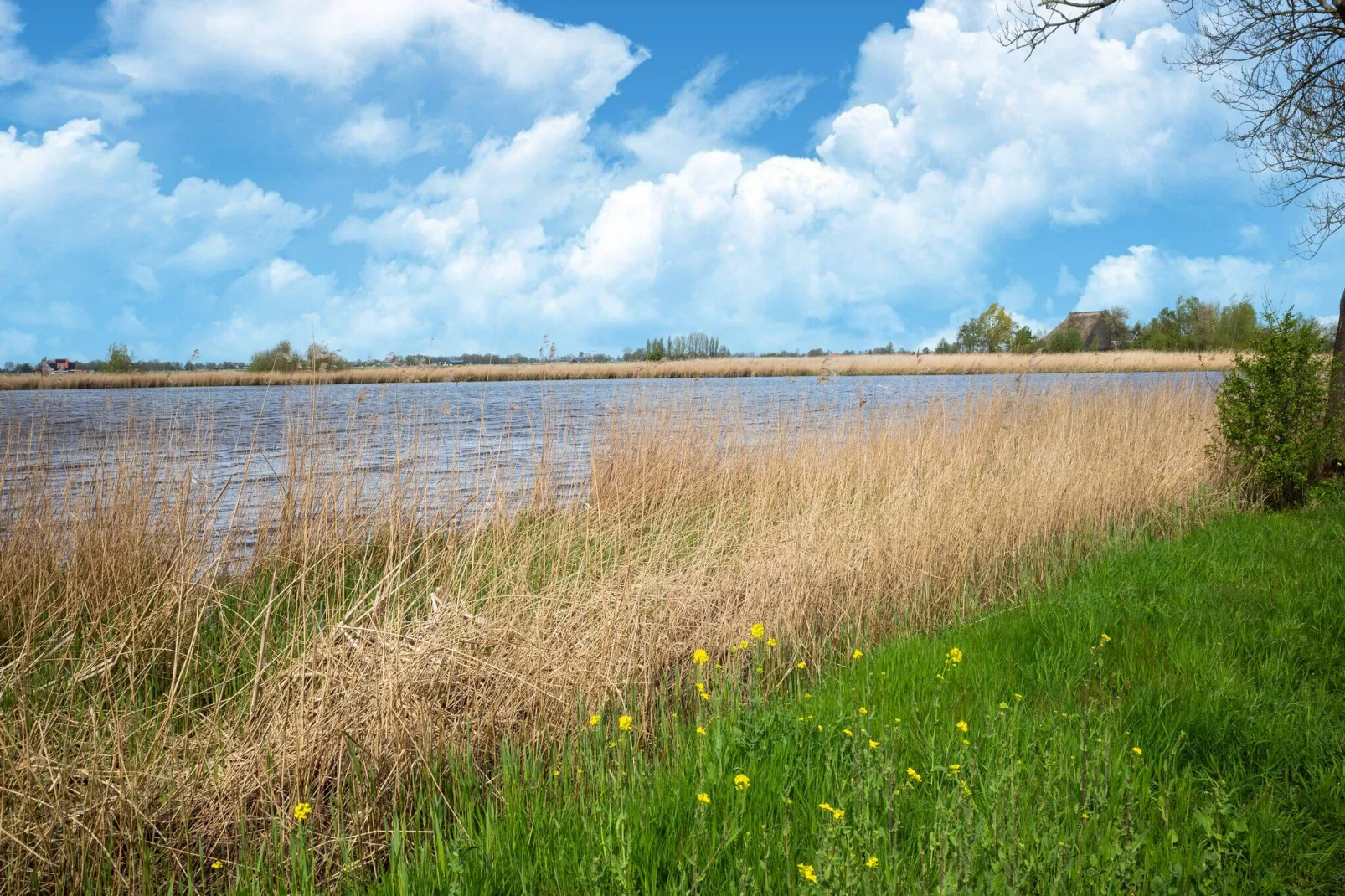 Tjongerzicht 3-Gebieden zomer 1km