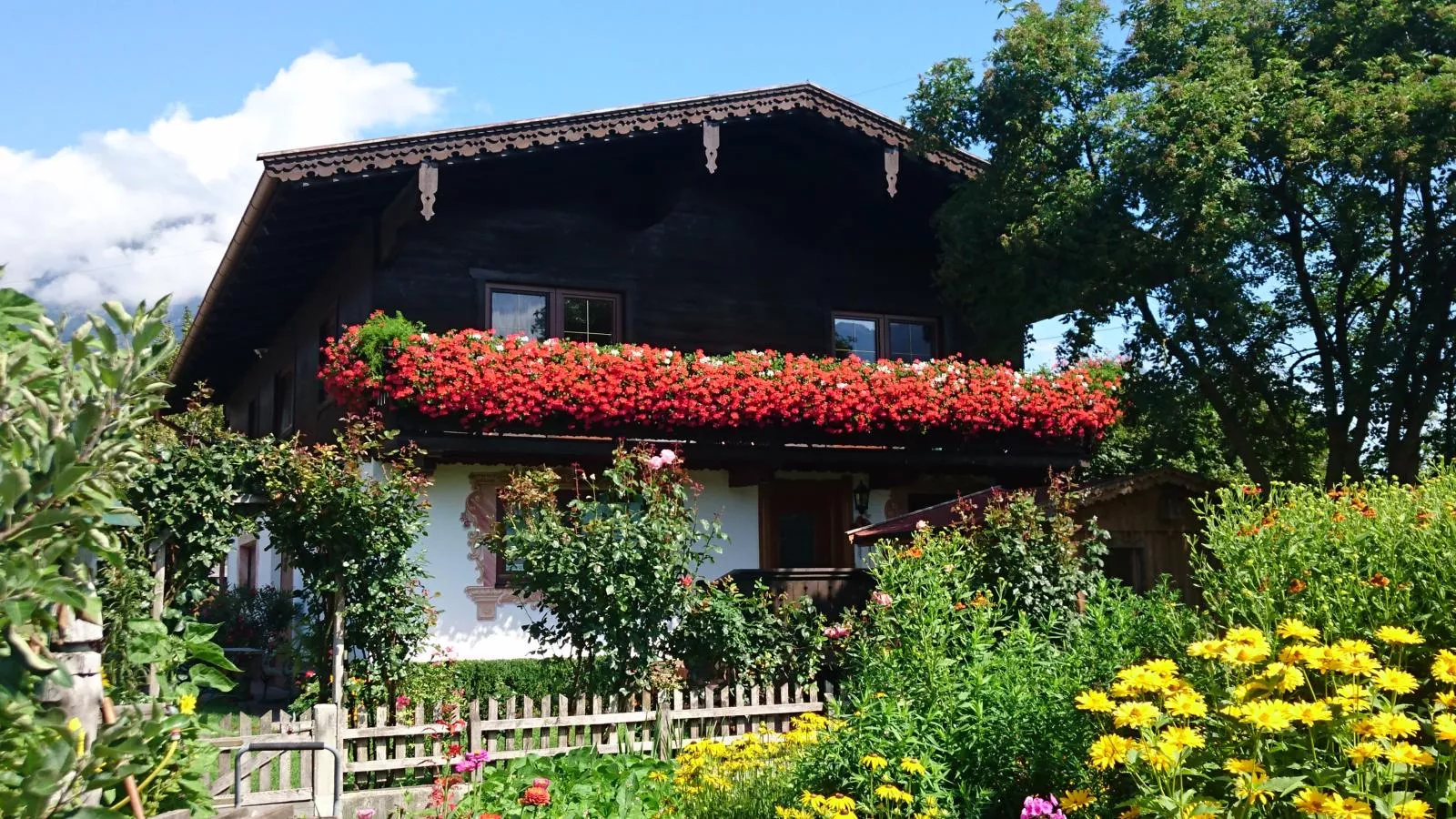 Schleicherhof IV-Buitenkant zomer