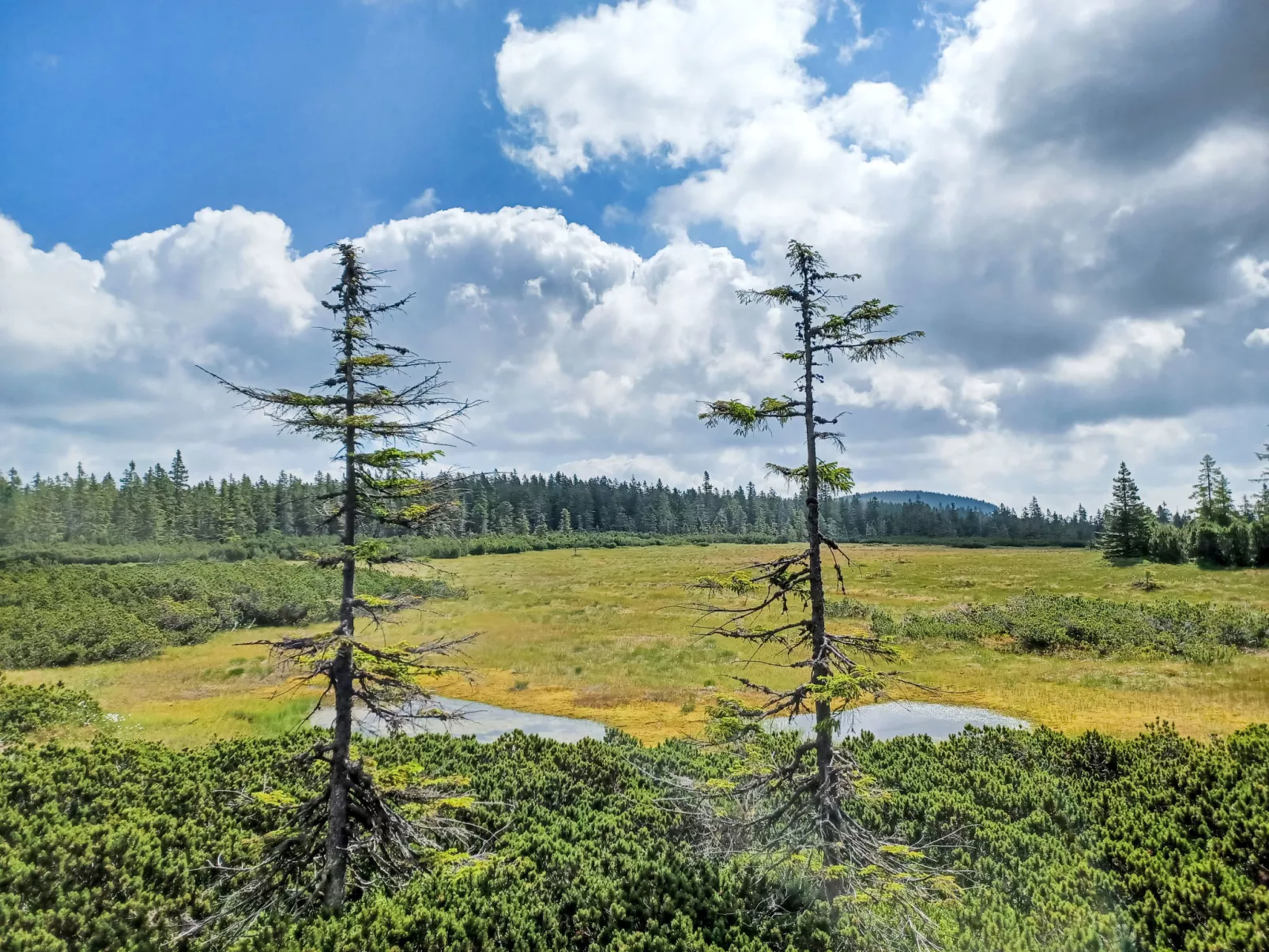 Slunečná louka-Omgeving