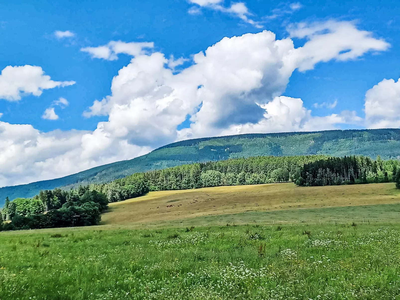 Slunečná louka-Omgeving