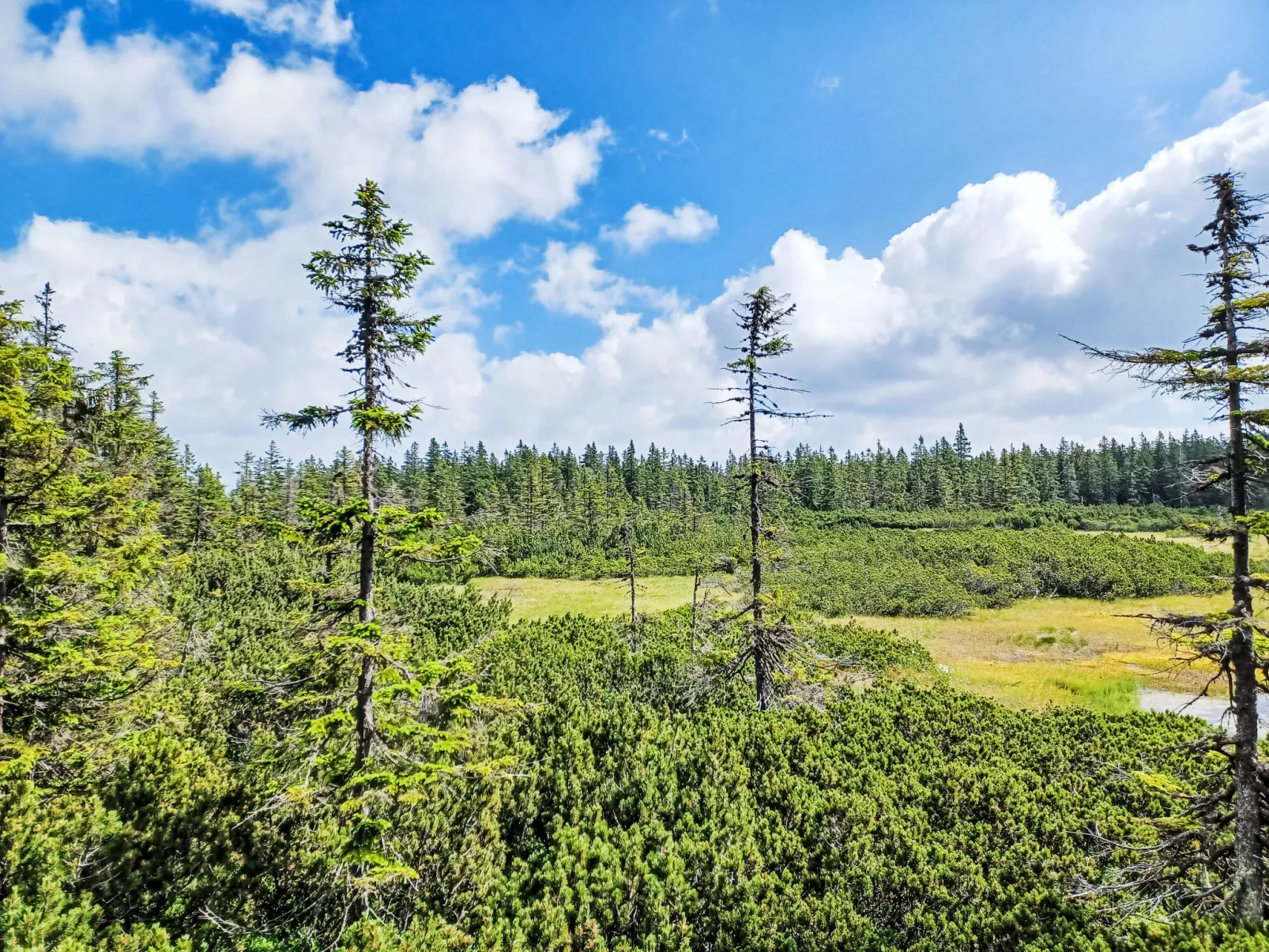 Slunečná louka-Omgeving