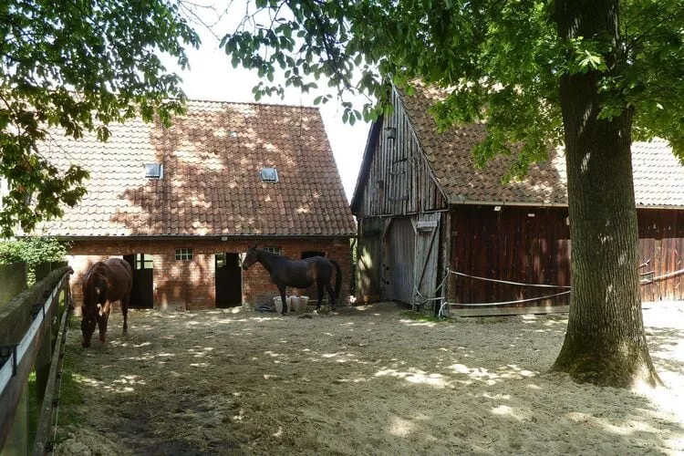 Familienhütte 3 Erw-Buitenkant zomer