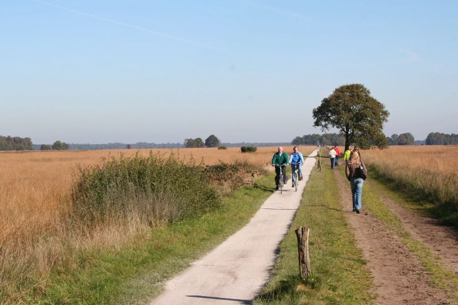 Marke van Ruinen 3-Gebieden zomer 5km