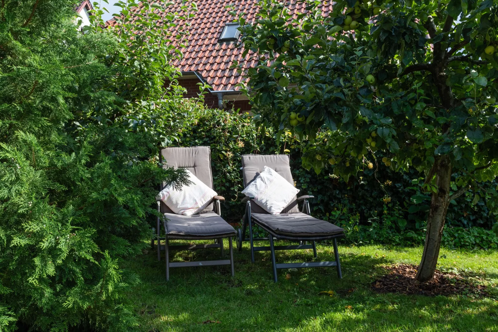 Ferienhaus mit Garten und Terrasse vor Rostock/Warnemünde-Tuinen zomer