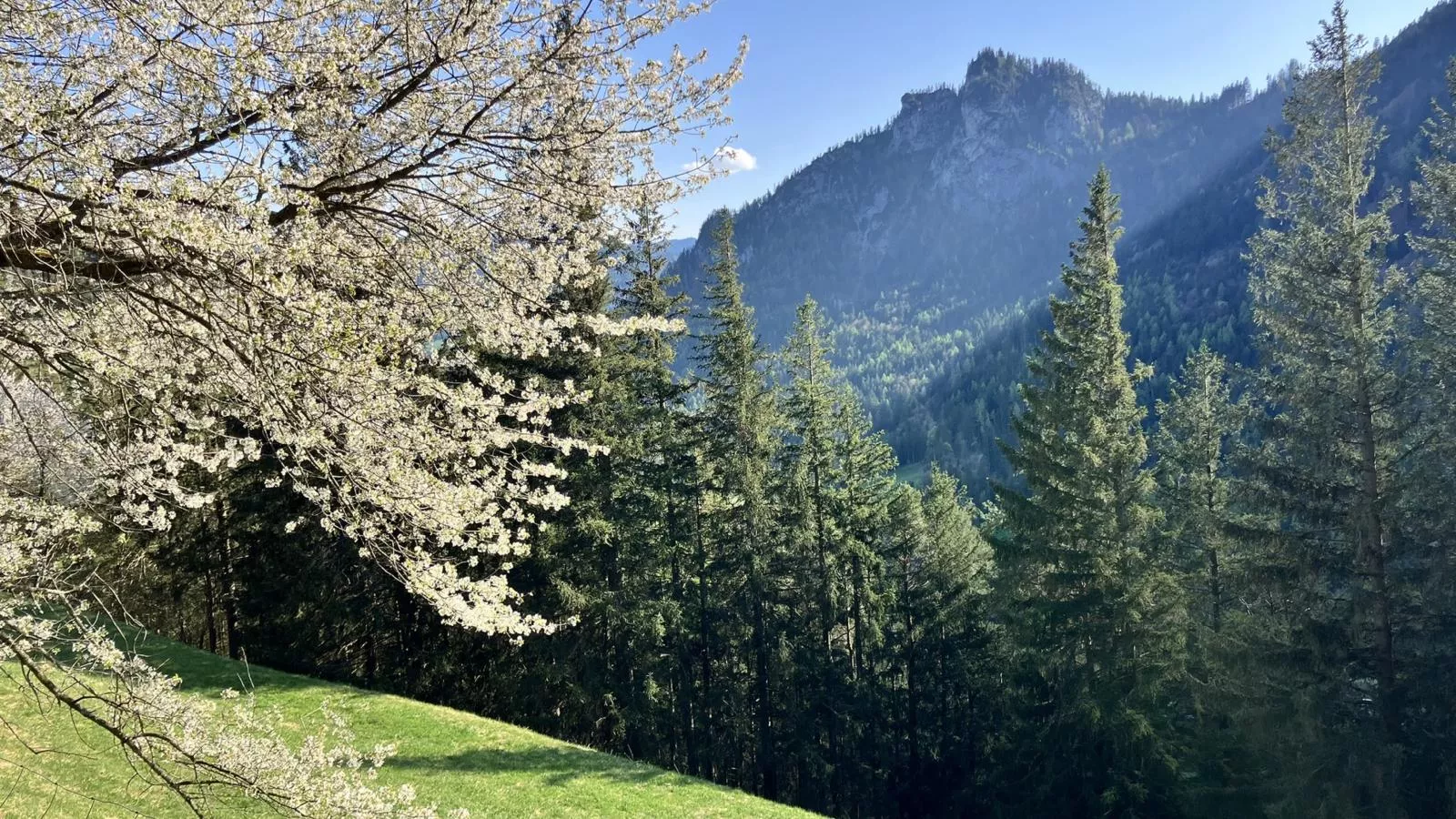 Ahorn Mountainlodge-Gebieden zomer 5km