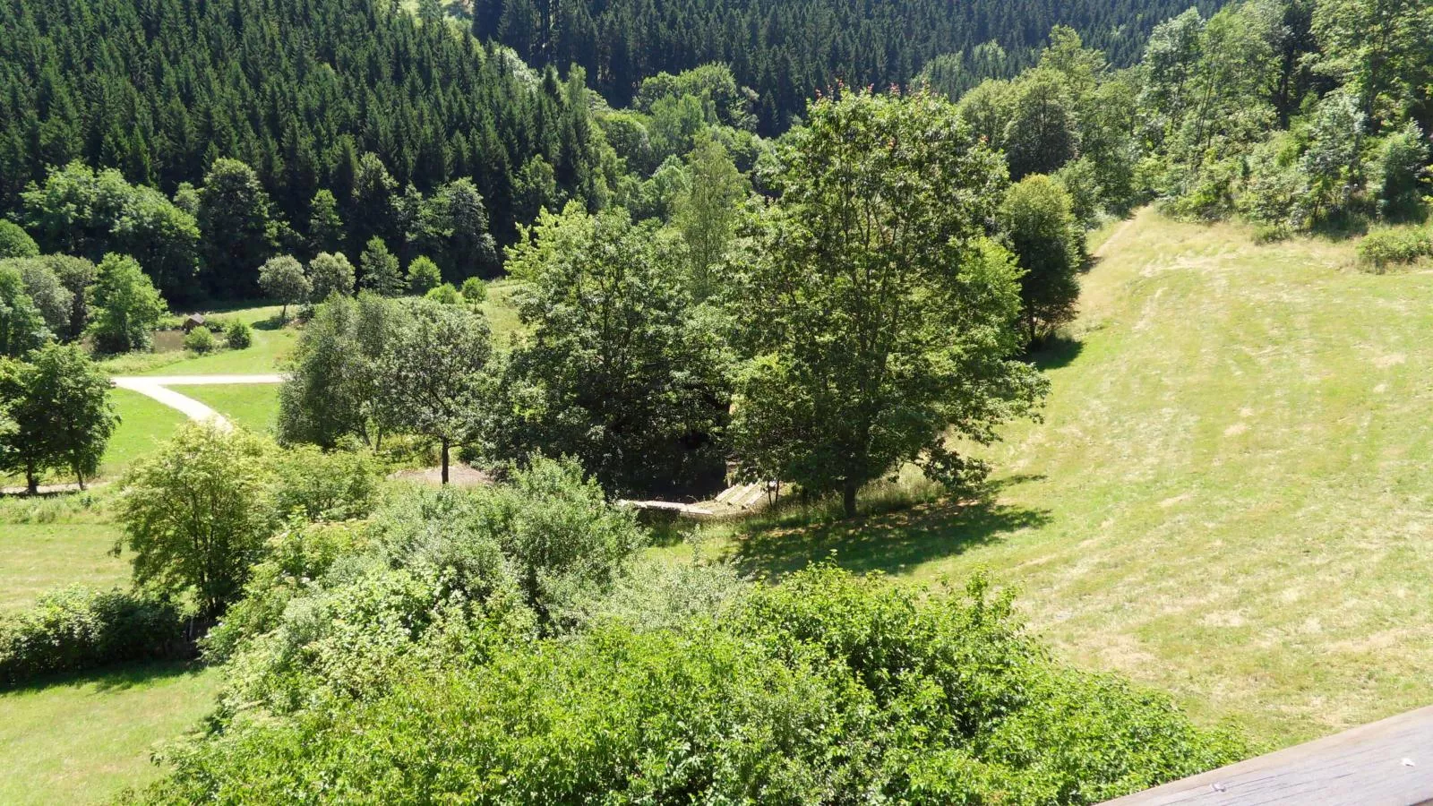 Kurhaus am Nordenau - 10 pers-Uitzicht zomer