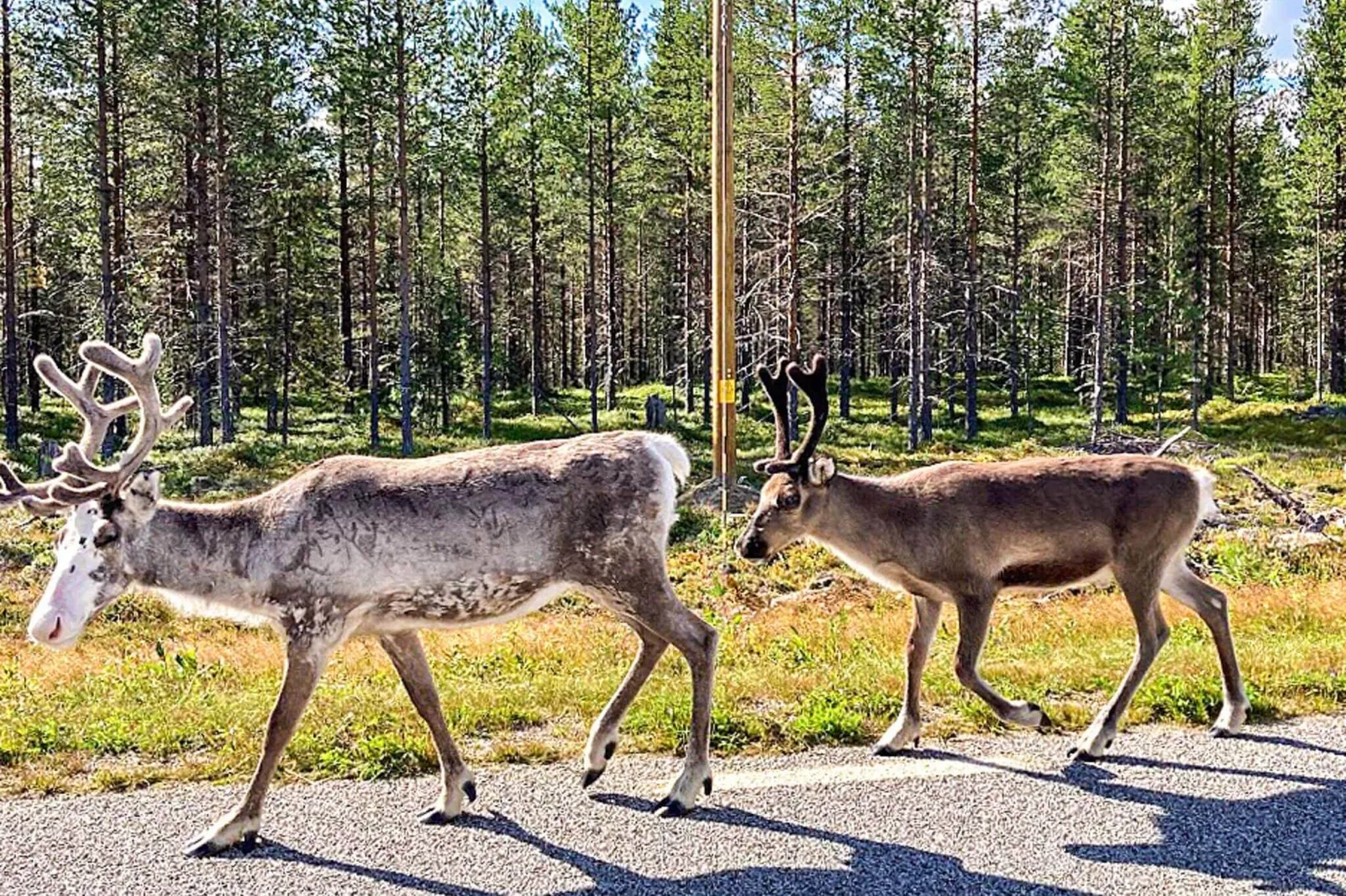 6 persoons vakantie huis in Jokkmokk-Niet-getagd