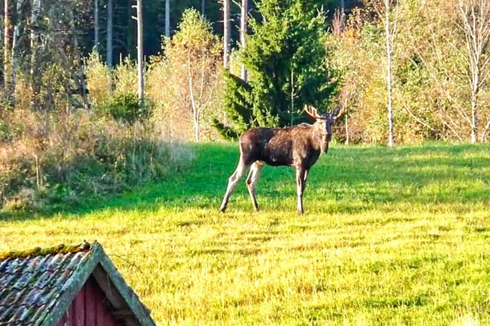 6 persoons vakantie huis in Jokkmokk-Niet-getagd