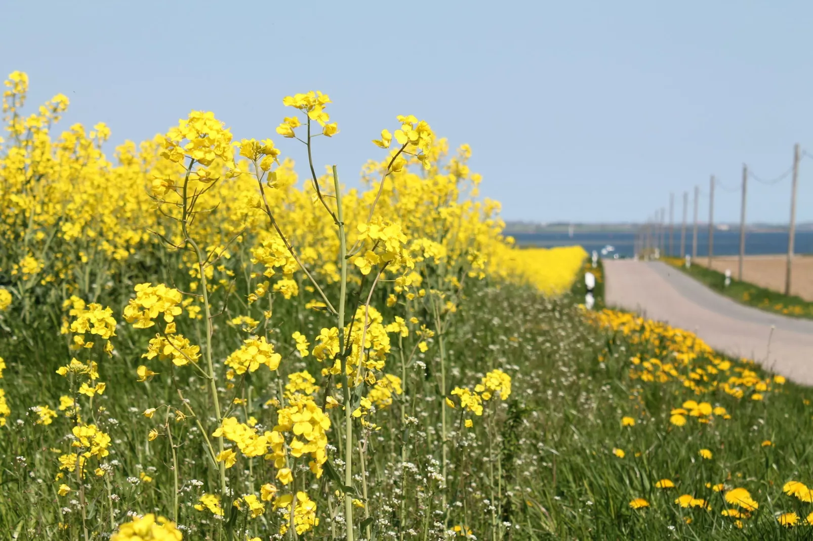 Schwalbenring nahe Karls Erdbeerhof-Uitzicht zomer