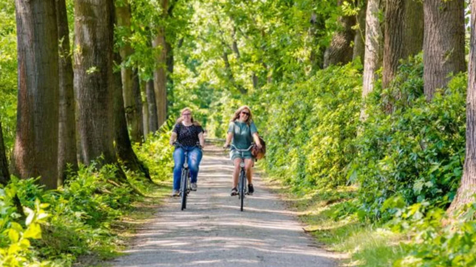 Brabants Weelde-Gebieden zomer 5km