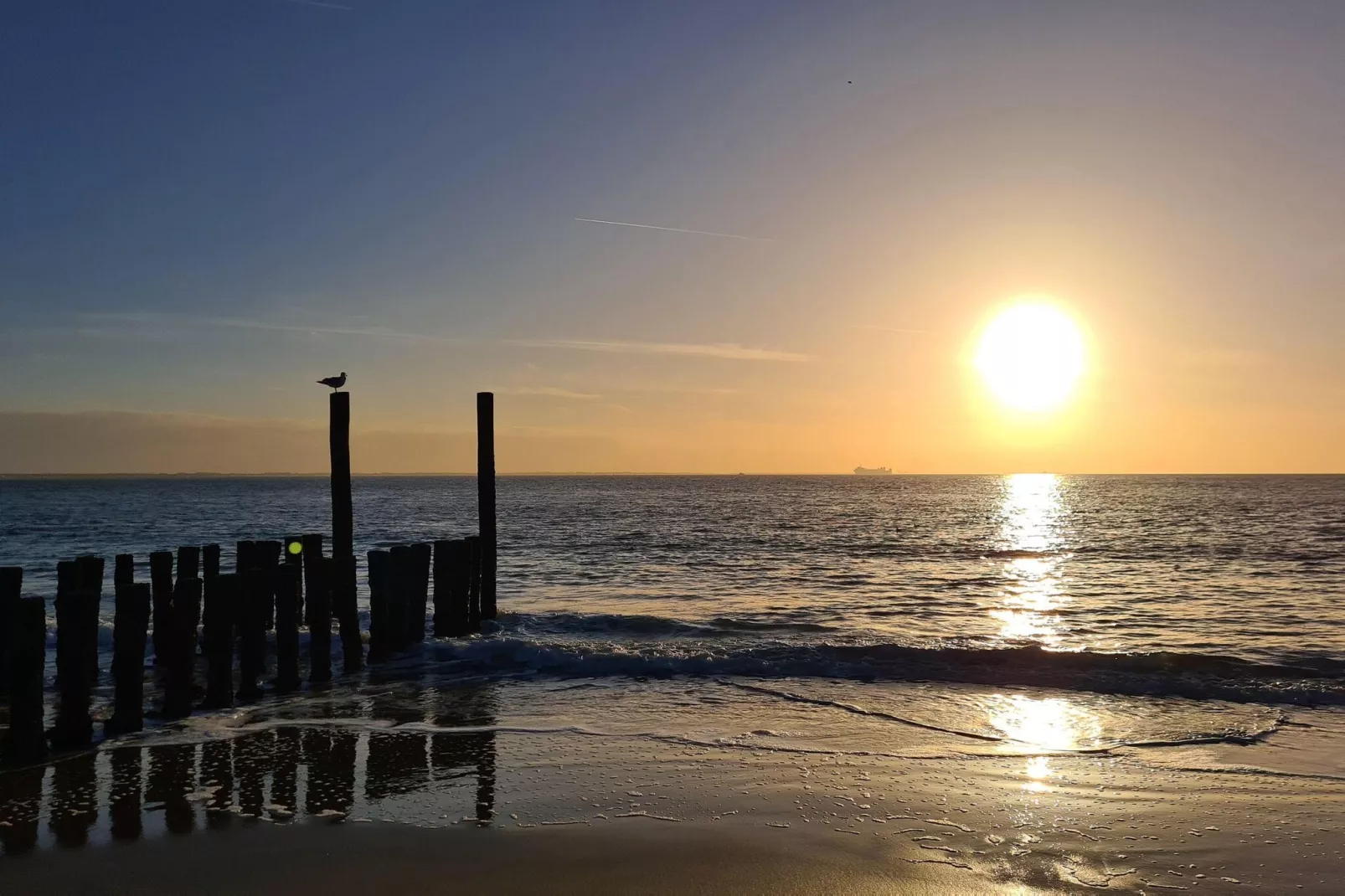 Strandwoning Baarland in Zeeland-Gebieden zomer 1km