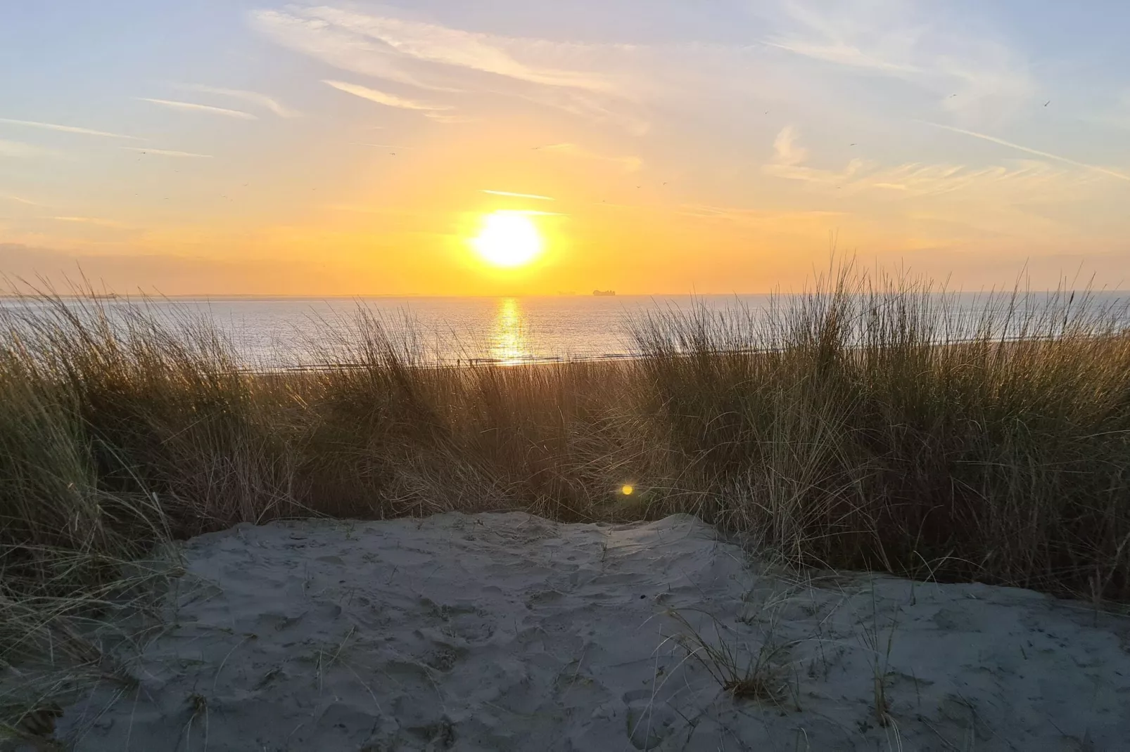 Strandwoning Baarland in Zeeland-Gebieden zomer 1km