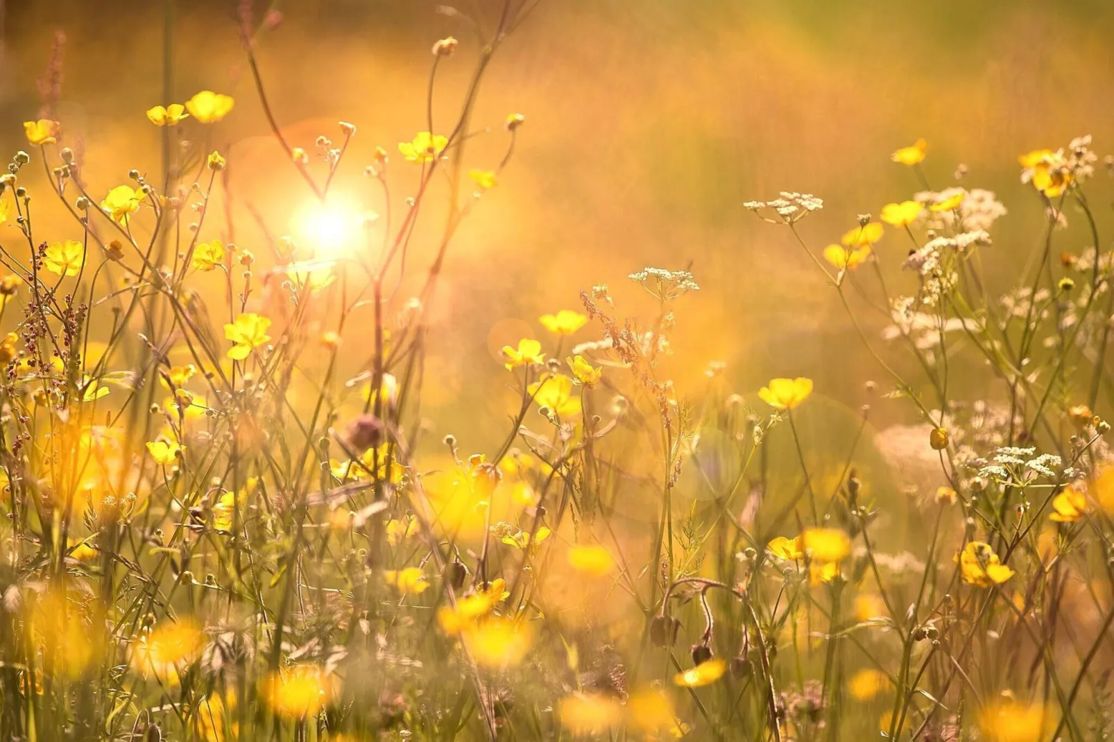 Prachtig vakantiehuis in de natuur-Binnen