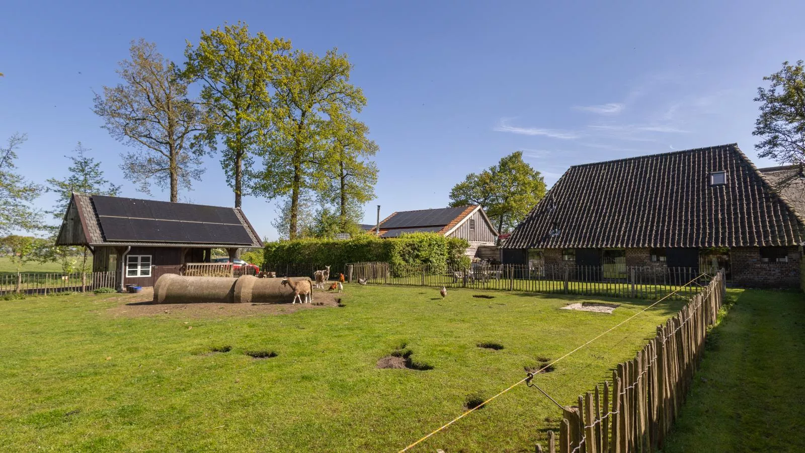 Gastenverblijf Prinsensteeg-Buitenkant zomer