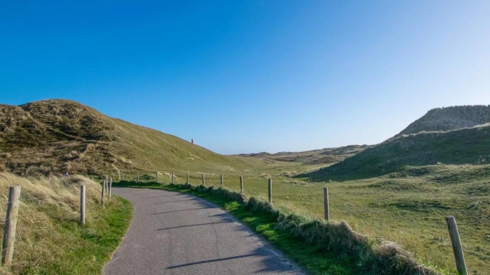 Sol-Gebieden zomer 1km