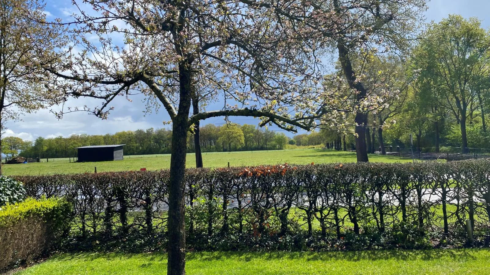 Regge en Weidezicht-Uitzicht zomer