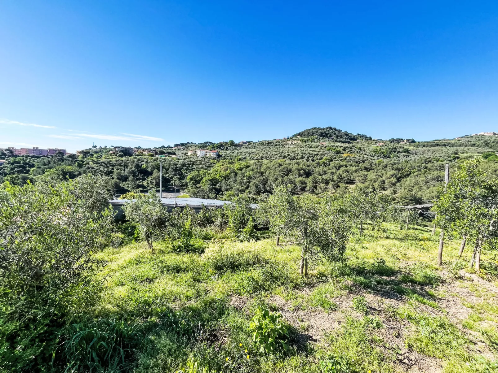 Casa Lulú-Buiten