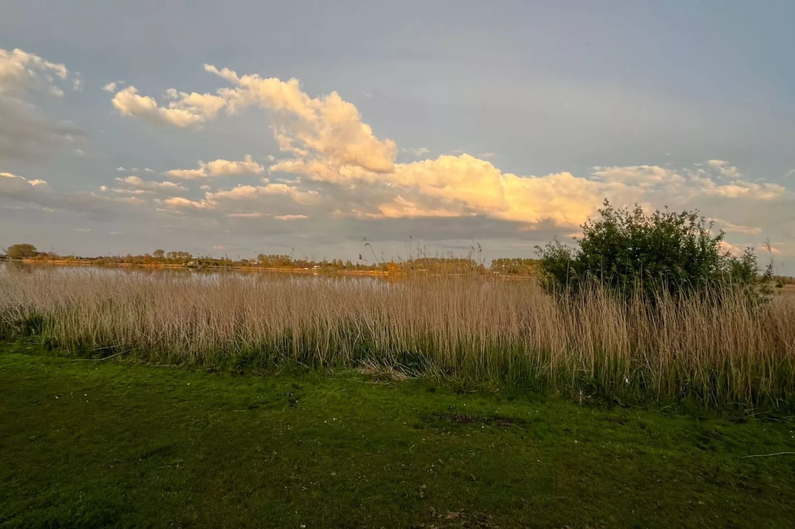 Familiehuis in Noordwijkerhout-Gebieden zomer 1km