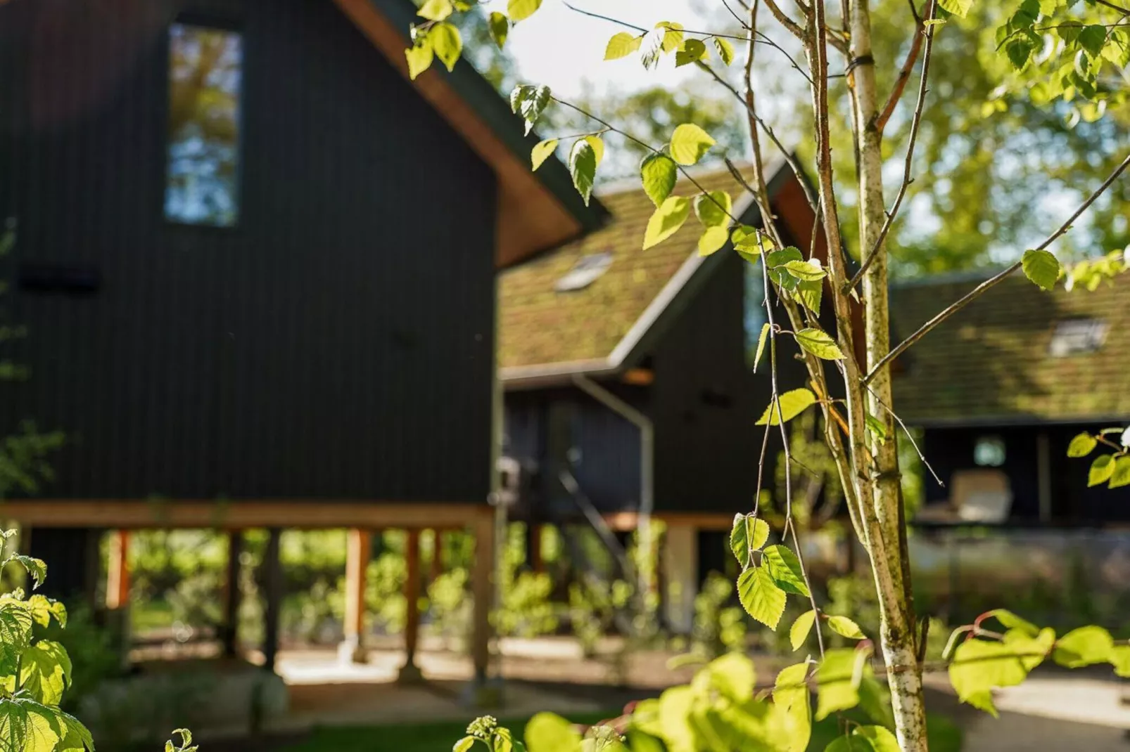 Natuur Villa  4 personen-Sfeer